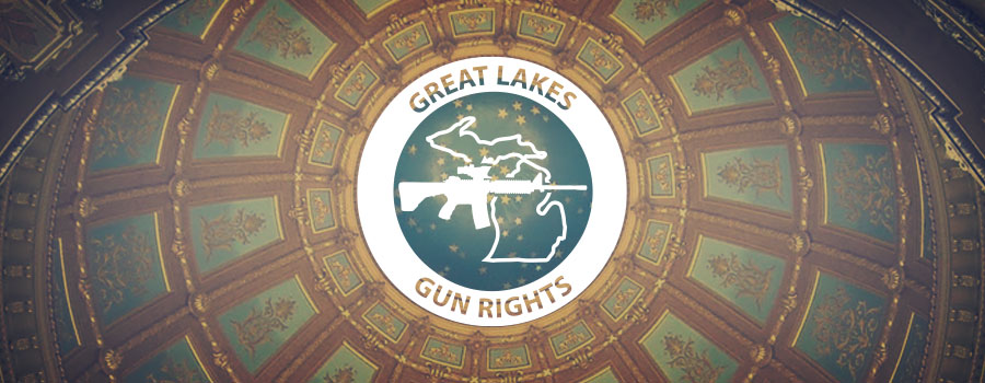 michigan gun rights